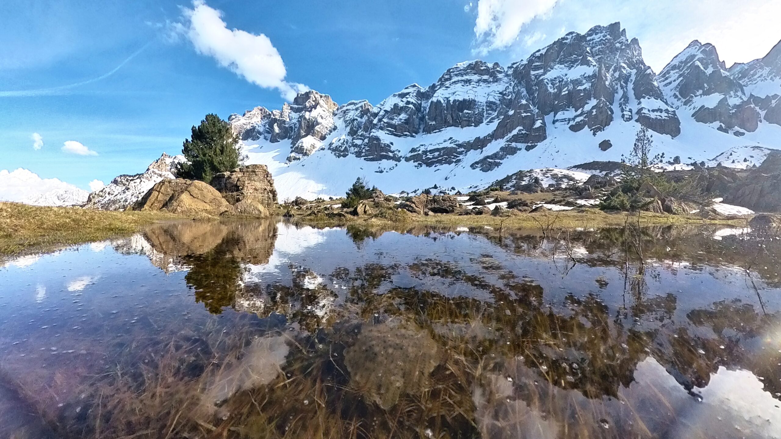 IMG_20250425_183116_517_519_HDR_2025-04-27_12-29-21_capturadepantalla